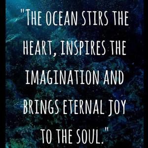 Meet your Posher, Bella